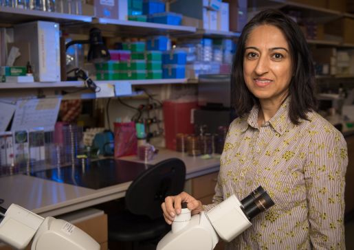 Nasia Safdar, MD, PhD