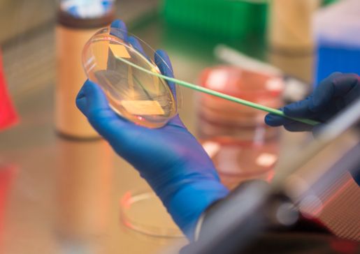 Infectious Disease lab