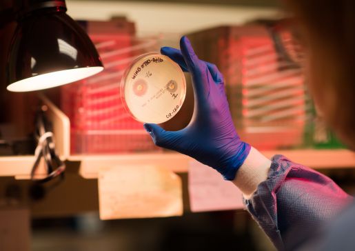 antimicrobial research