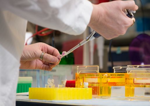 Department of Medicine research lab