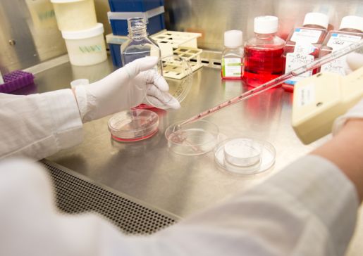 Lab image to accompany article: Department of Medicine Faculty, Staff to Lead Seven New Research Projects Funded by the 2019 UW ICTR Pilot Awards Program