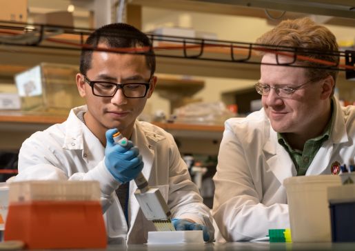 Dudley Lamming, PhD, works with a colleague in his lab