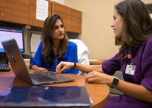 Shapiro Summer Research Program