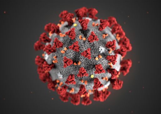 COVID-19 virus