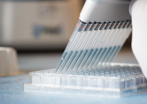Closeup of lab pipettes